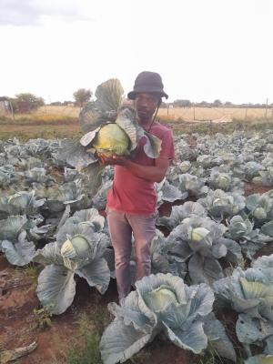 KGATOENTLE AGRI FARM