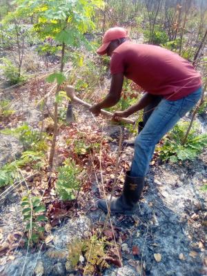 INUFO SYSTEM TRADERS