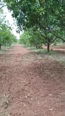 Padmalayam Agri. & Aqua. Farm