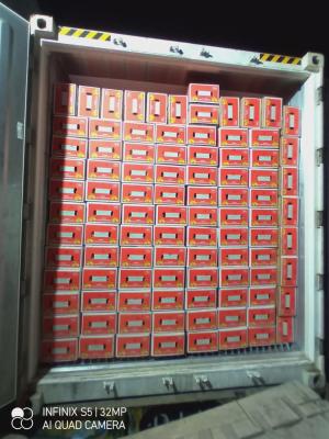 Sargodha orange factory