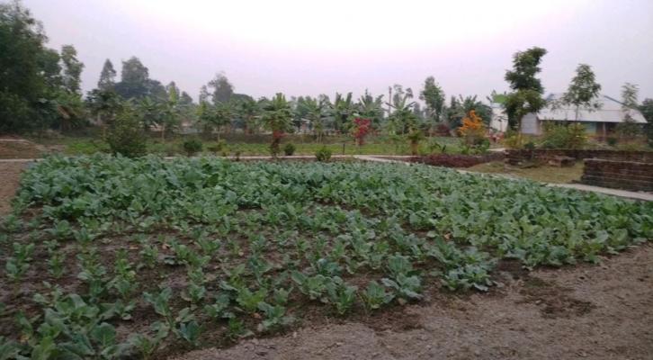 Freshtreat Agro Services