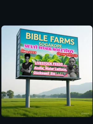 BIBLEFARMS INTC
