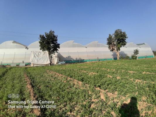 Shree shyam polyhouse