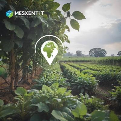 MESXENT GLOBAL VENTURES