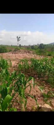 Africrown Mega Deals Limited