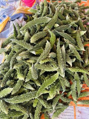 Shetkari Raja Trading Company