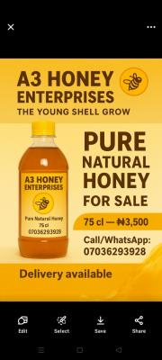 A3 honey enterprises