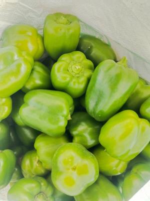 Naidu vegetables exports