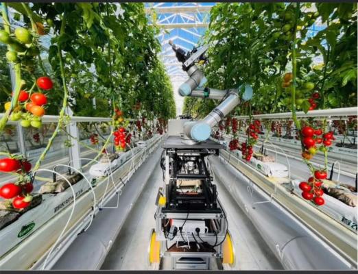 AYAGRO AGRITECH Ltd.