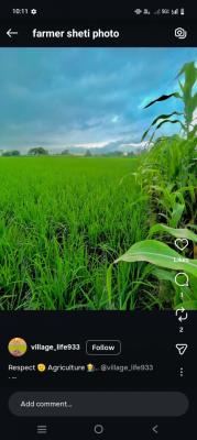 Vihan Fresh vegetables