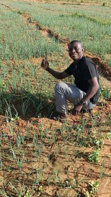 Kwakwazo Onion and Garlic NG Ltd