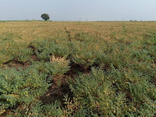 XploreAll Internet Private Limited