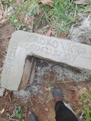 IROKO INTEGRATED FARMS LIMITED