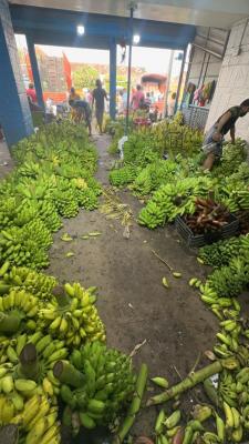 Sree Vignesh Traders