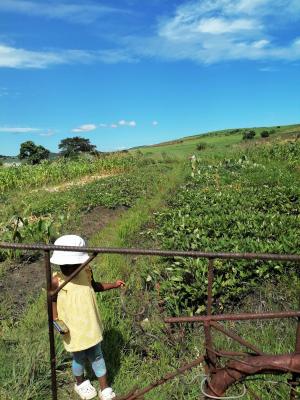 Nolwayz Agric Farming