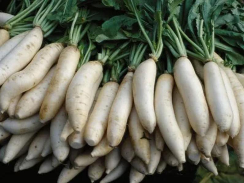 Radish of rupees 15 per kg