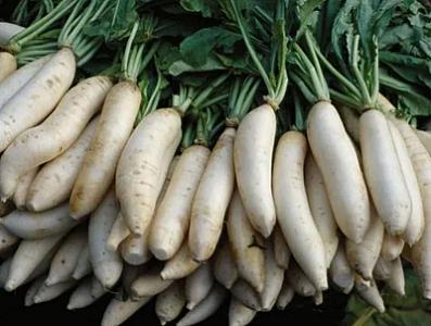 Radish of rupees 15 per kg