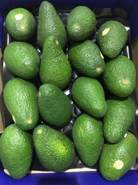 Avocado Year-round