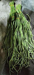 Yardlong (Asparagus) Bean Legume