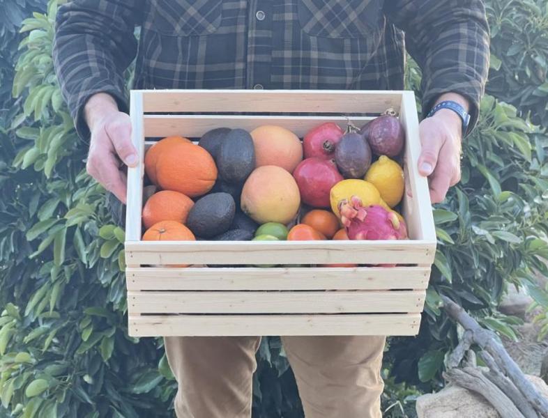 Seasonal Farm Box