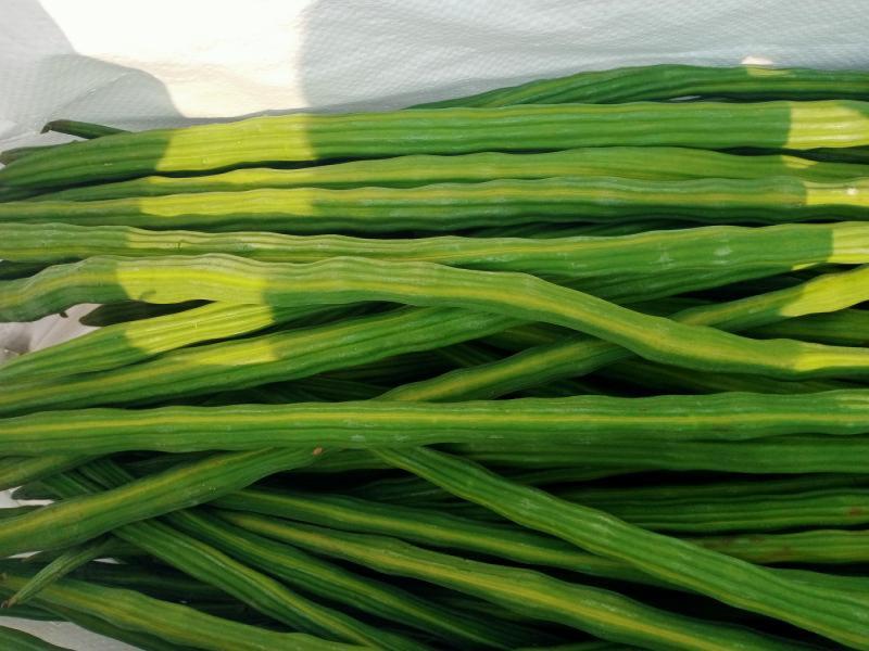 Moringa fresh awailable