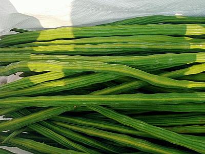 Moringa fresh awailable