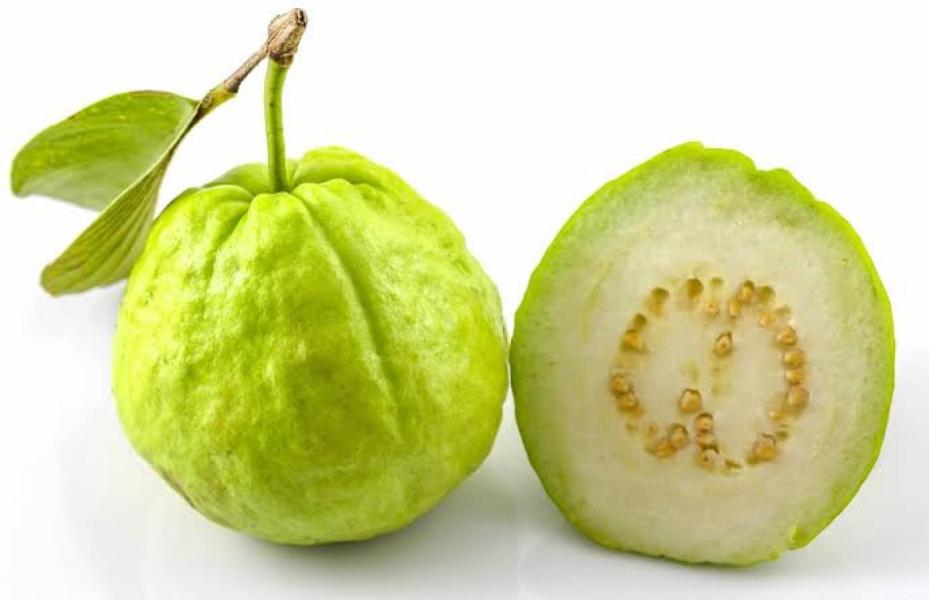Alahabad white guava at the best price