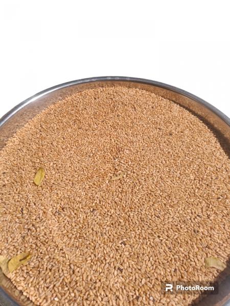 Organic Black Wheat & Organic brown Wheat