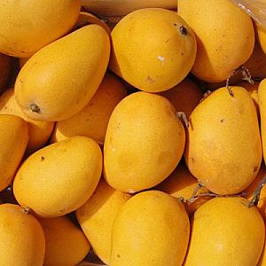 Banganapalle mangoes