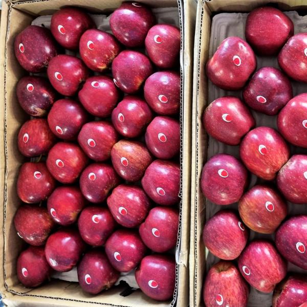 Royal Delicious Apples