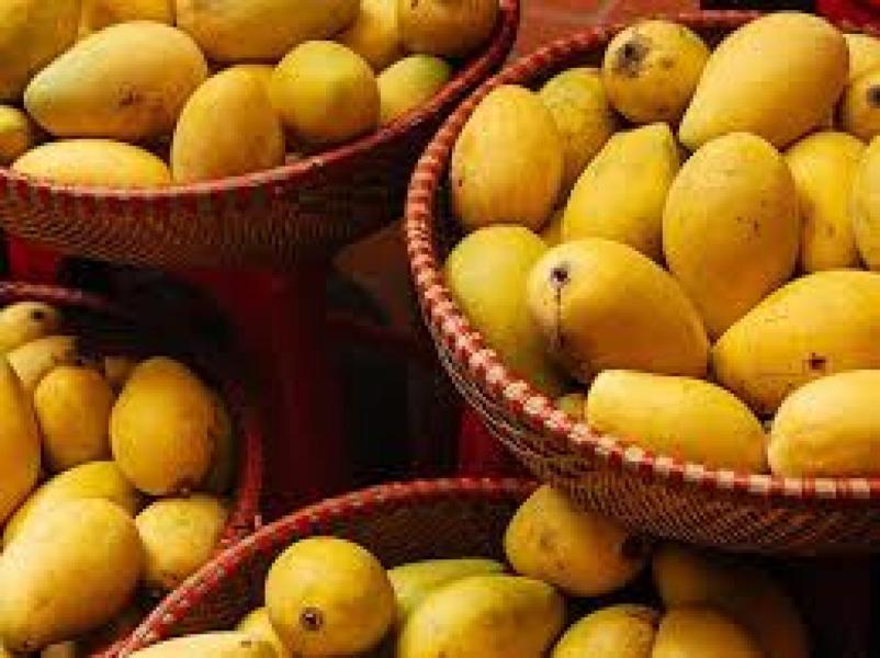 Mangoes