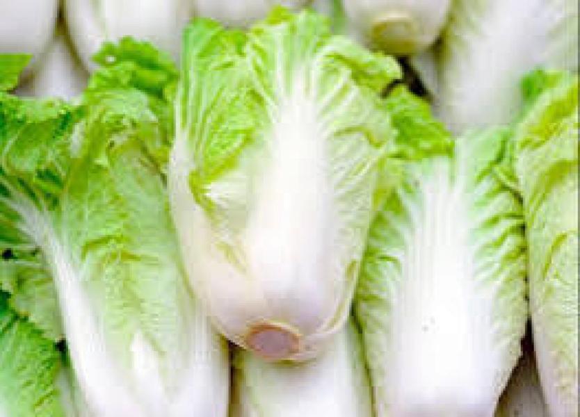 Greeny and freshy juicy vegetables. Available English Hindi and china vegetables.