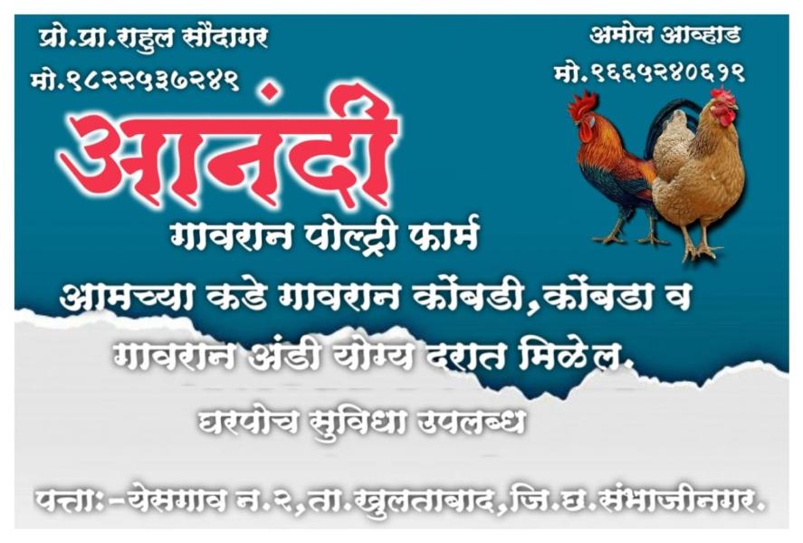 Gavran Grove: Where Poetry Blossoms in the Fields