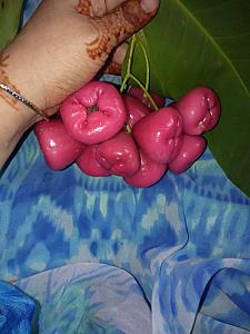 First you offer than it will be negotiable