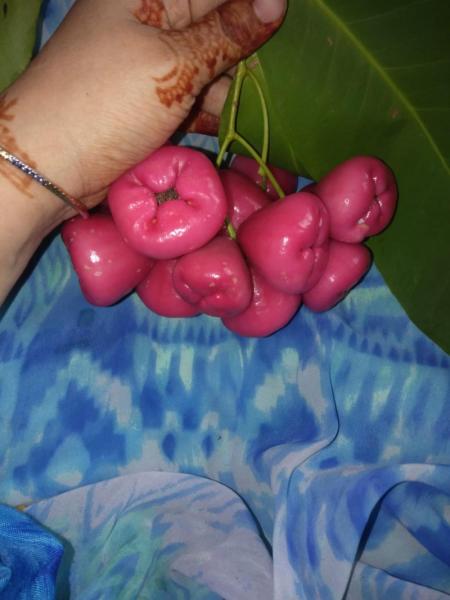 First you offer than it will be negotiable