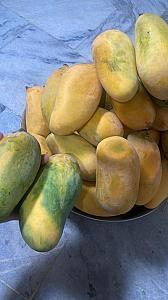 Mangoes