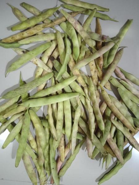 Ghewada ( kidney beans)