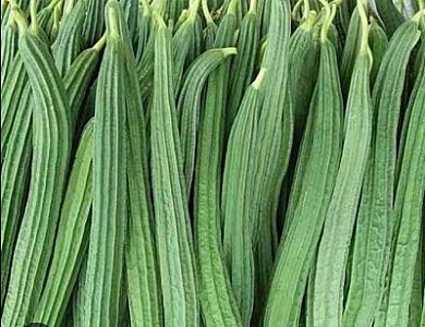 Ridged Gourd