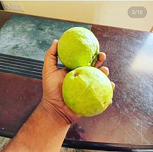 Lemons , gauva , water apple and jamoon