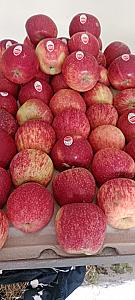 Apples 5 kg order per 500 free