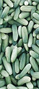 Cucumbers