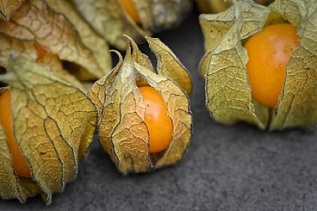 Cape Gooseberries
