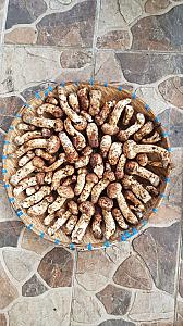 Avocados and Tricholoma Matsutake