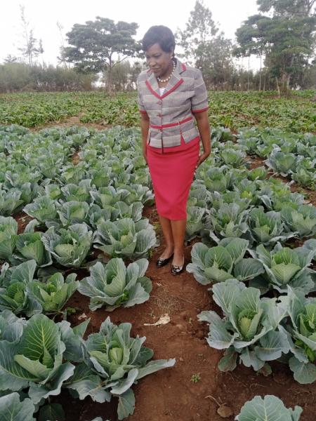 Cabbage/French beans