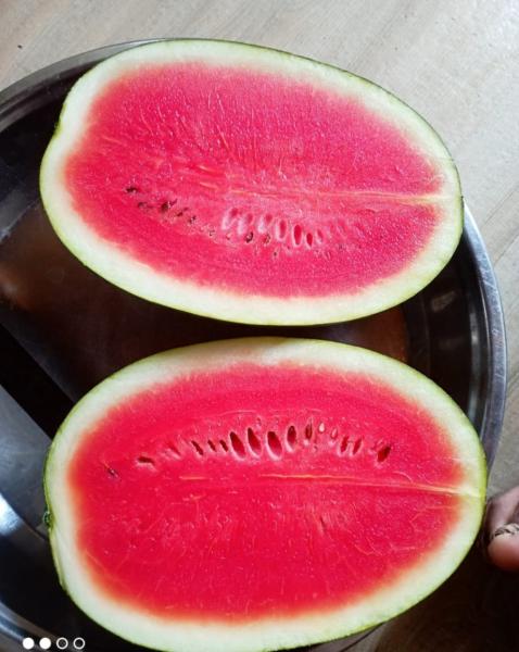 Watermelon