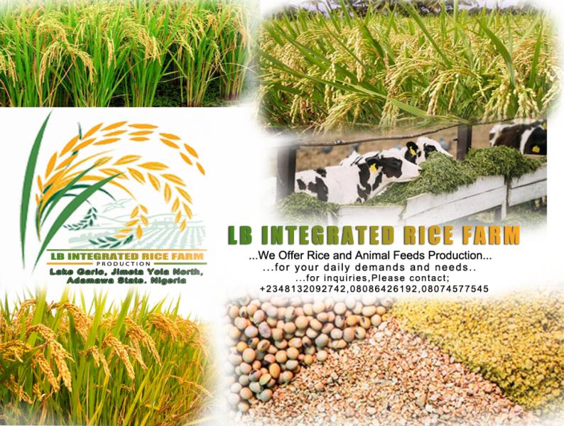 To provide high-quality agricultural products, including rice, maize, beans, and animal feeds, while promoting sustainable farmi