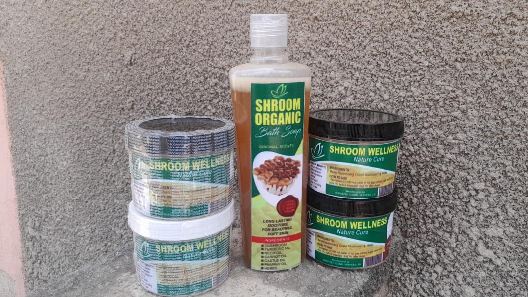 Fresh/ dry oyster/ ganoderma mushroom