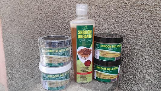 Fresh/ dry oyster/ ganoderma mushroom