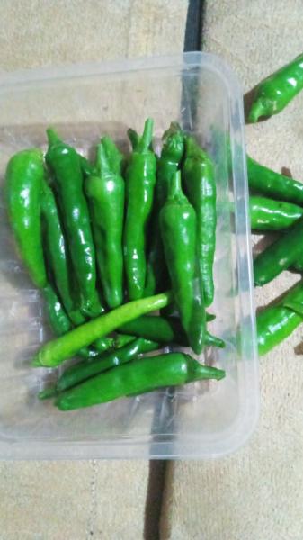 Fresh green red yellow and orange chillies
