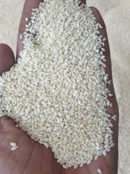 Pure White Sesame Seeds (Chad Origin)
